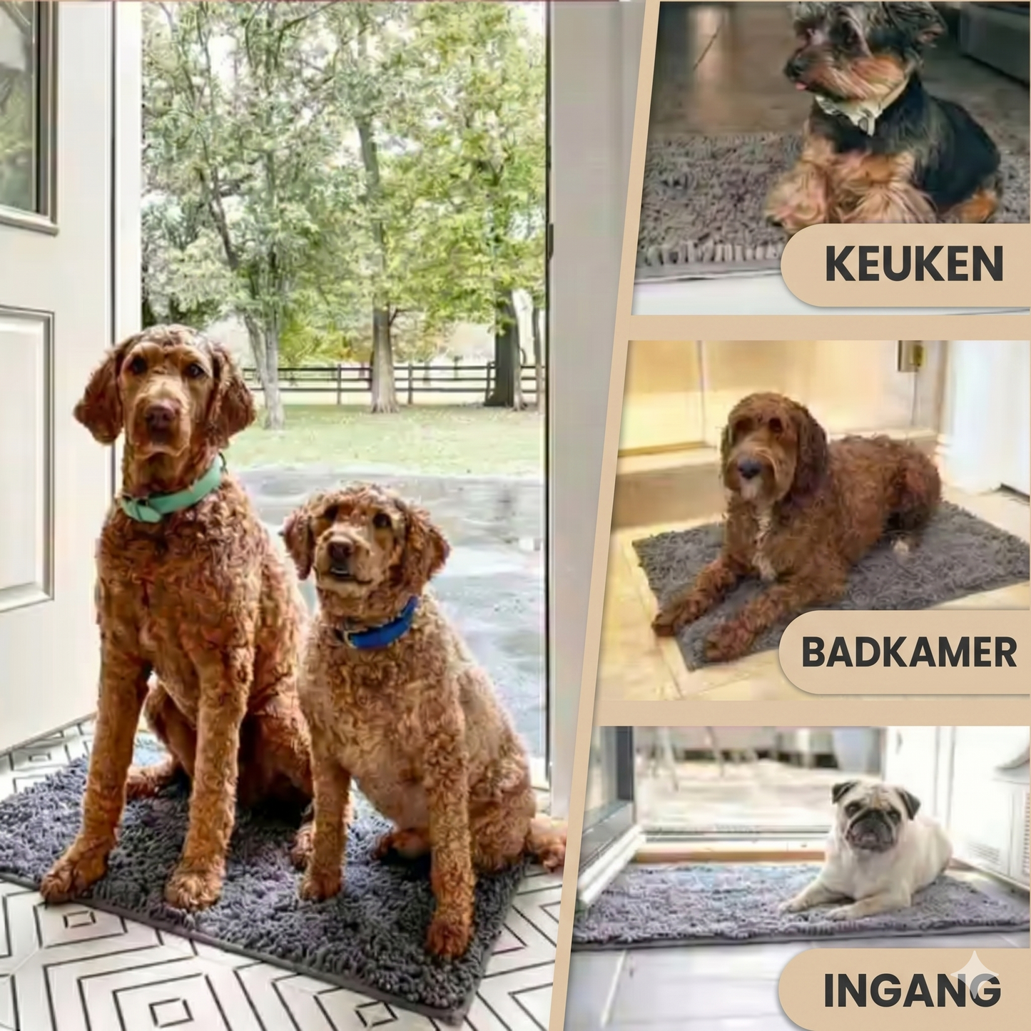 CleanStep™ PawDry Mat