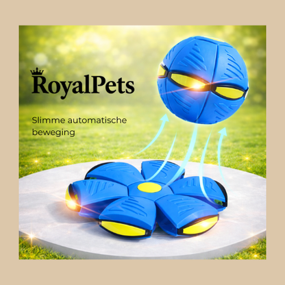 PlayPulse™ Slimme Speelbal voor Huisdieren
