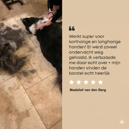FurEase™ Premium Vachtborstel