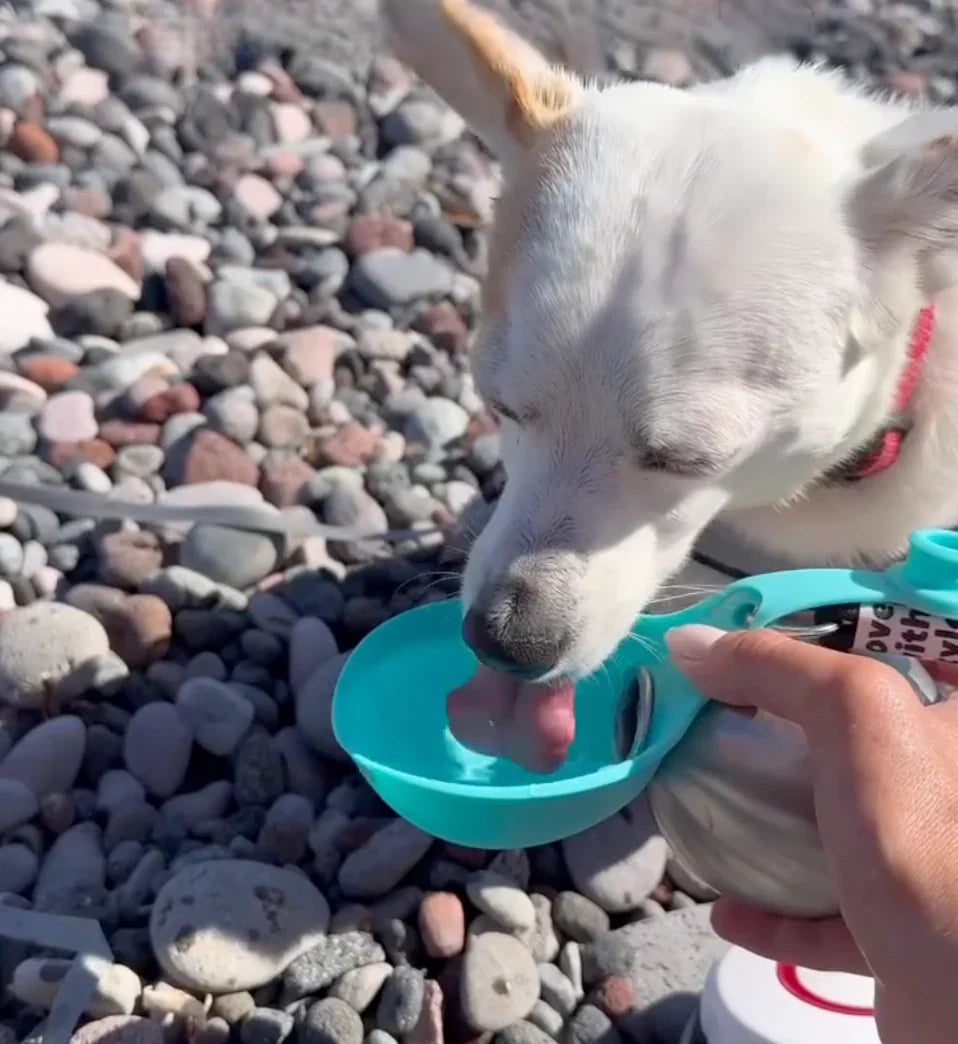 AquaBol - Speciaal voor Honden