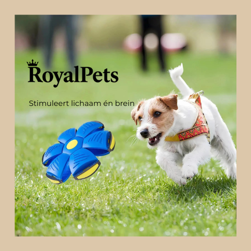 PlayPulse™ Slimme Speelbal voor Huisdieren